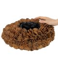 Maceta redonda de piñas, 38 cm; maceta redonda de piñas, marrón natural, hecha de piñas, 38 cm x 14 cm. | Floristik24.es