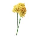 Floristik24 Ajo Ornamental Allium Silvestre Artificial Amarillo 70cm 3uds