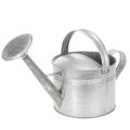 Floristik24 Regadera vintage de zinc, 27 cm - maceta para jardín y patio, maceta de metal