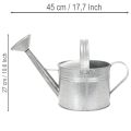 Regadera vintage de zinc, 27 cm - maceta para jardín y patio, maceta de metal | Floristik24.es