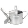 Regadera vintage de zinc, 27 cm - maceta para jardín y patio, maceta de metal | Floristik24.es