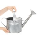 Regadera vintage de zinc, 27 cm - maceta para jardín y patio, maceta de metal | Floristik24.es