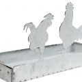 Floristik24 Bandeja de zinc con pollos 30cmx12cm A15,5cm