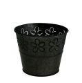 Floristik24 Maceta de zinc negro con flores Ø10cm H8cm