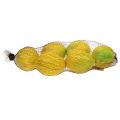 Floristik24 Limones decorativos 10cm 6pcs