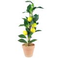 Floristik24 Limonero en maceta planta artificial 42cm