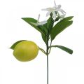 Floristik24 Deco rama limón y flores rama artificial decoración de verano 26cm 4pcs