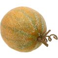 Floristik24 Melón melón decorativo Ø14cm