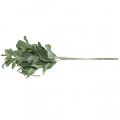 Floristik24 Plantas artificiales de salvia, hojas de salvia, decoración de flores, decoración de salvia, 68cm, 2 uds.