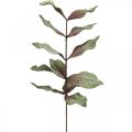 Floristik24 Planta artificial rama decorativa espuma verde rojo marrón Al. 68 cm