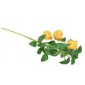 Floristik24 Rama decorativa artificial rama de pera amarillo 75cm