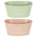 Bol ovalado de zinc para flores, 27 x 18 cm, 12,5 cm de alto, varios colores. | Floristik24.es
