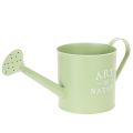 Floristik24 Maceta, regadera decorativa, maceta de zinc verde menta, Ø16,5 cm