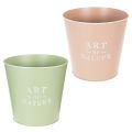 Maceta de zinc Ø22cm H21cm Varios colores | Floristik24.es