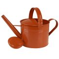 Regadera decorativa de metal estilo rústico, color marrón anaranjado, 26 cm, 5 L - Uso versátil como maceta y elemento decorativo. | Floristik24.es