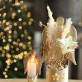 Hierba de la pampa decorativa crema hierba seca blanqueada 95cm 3 piezas | Floristik24.es