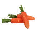 Floristik24 Deco zanahorias naranja 11cm 12uds