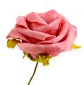 Floristik24 Rosa de espuma Ø 8cm rosa 18p