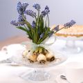 Plato de cristal clásico para tartas con pie - Elegante para cualquier celebración Ø 20cm | Floristik24.es