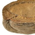 Maceta de coco, natural, 20 cm, 5 unidades | Floristik24.es