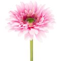 Floristik24 Flores artificiales de gerbera para jardín, color rosa, 47 cm, 6 unidades