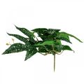 Floristik24 Begonia Artificial Planta Artificial Verde, Verde Oscuro 42×28cm