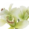 Floristik24 Orquídeas artificiales flores artificiales en jarrón blanco/verde 28cm