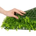 Tapete de plantas artificiales de boj de 55x55 cm para decoración de paredes. | Floristik24.es