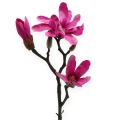 Floristik24 Magnolia rama 45cm 3pcs