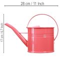 Regadera decorativa de metal, maceta rosa, 1,25 l, para interior/exterior, balcón. | Floristik24.es