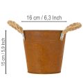 Maceta de metal con asas, maceta para hierbas, decoración de óxido Ø16,5cm H15cm | Floristik24.es