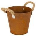 Floristik24 Maceta de metal con asas, maceta para hierbas, decoración de óxido Ø16,5cm H15cm