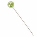 Alfileres con cabeza de perla, verde manzana, Ø10 mm, 60 mm | Floristik24.es