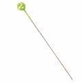 Alfileres con cabeza de perla Ø6mm 65mm verde manzana | Floristik24.es