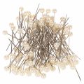 Floristik24 Alfileres con cabeza de perla Ø6 mm 65 mm Champagne