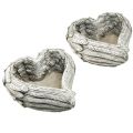 Planta corazón plumas corazón de piedra fundida gris blanco 13×12×6cm 2ud | Floristik24.es