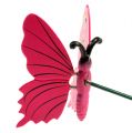 Floristik24 Mariposa en palo 8cm Rosa