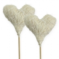 Floristik24 Corazón de sisal en el palo 6cm blanco 36pcs